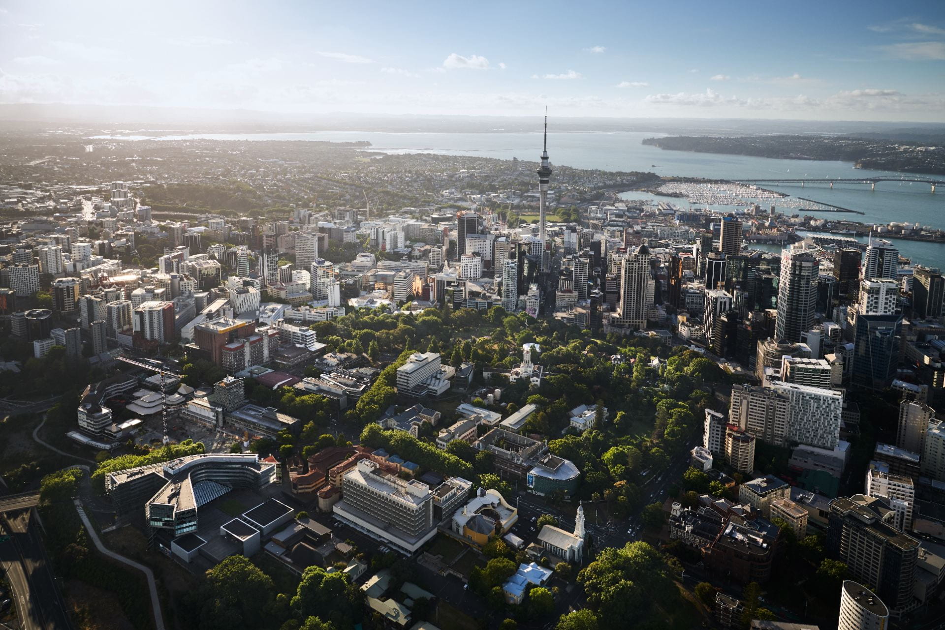 City scape of Auckland